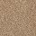 Mohawk Carpet: Renovate II 15 Toffee Cream